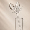 Archivio Fiora — Spirit Bloom Collection