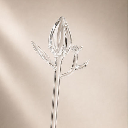 Fiore della Laguna — Spirit Bloom Collection