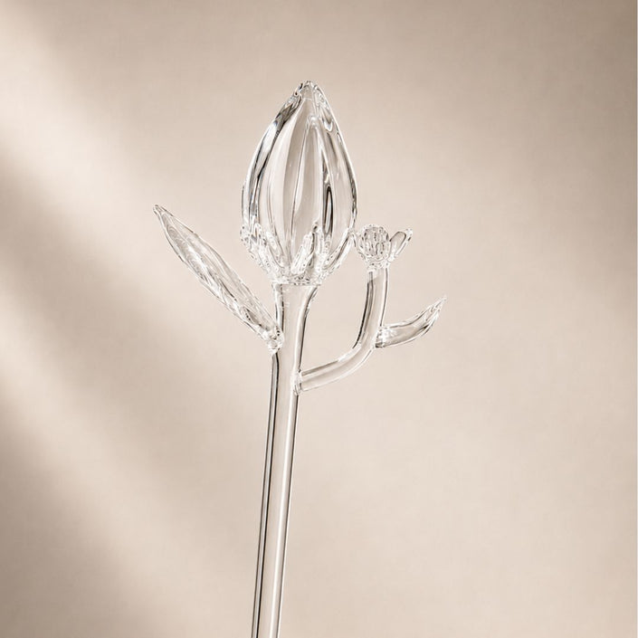 Fiore della Laguna — Spirit Bloom Collection