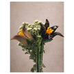 Tinsel Lily Glass Flower Stem - Black