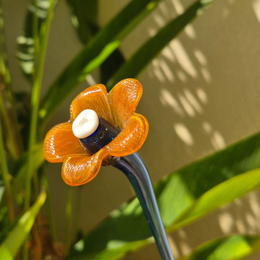 Daisy Glass Flower Stem - Golden Ember