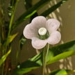 Daisy Glass Flower Stem - Pink Whisper