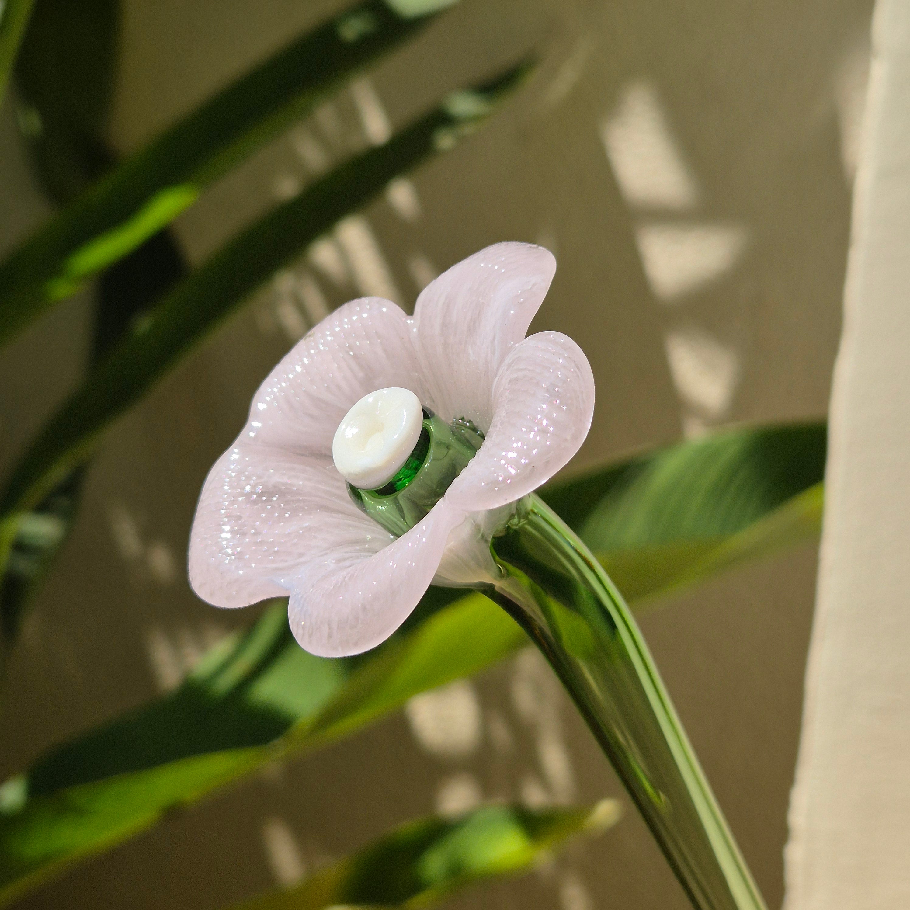 Daisy Glass Flower Stem - Pink Whisper