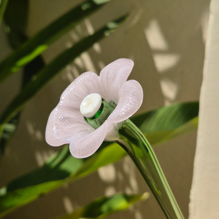 Daisy Glass Flower Stem - Pink Whisper