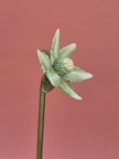 Primrose Magnolia- Handblown Glass Flower