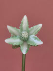 Primrose Magnolia- Handblown Glass Flower