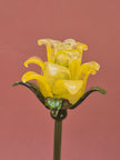 Citrine Lisianthus- Handblown Glass Flower