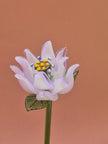 Lilac Clematis- Hand-Blown Glass Flower