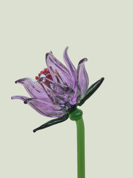Viola Clematis- Hand-Blown Glass Flower