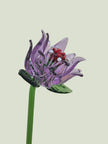 Viola Clematis- Hand-Blown Glass Flower