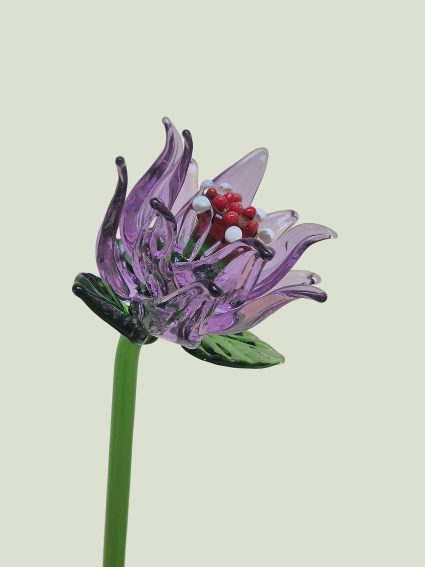 Viola Clematis- Hand-Blown Glass Flower