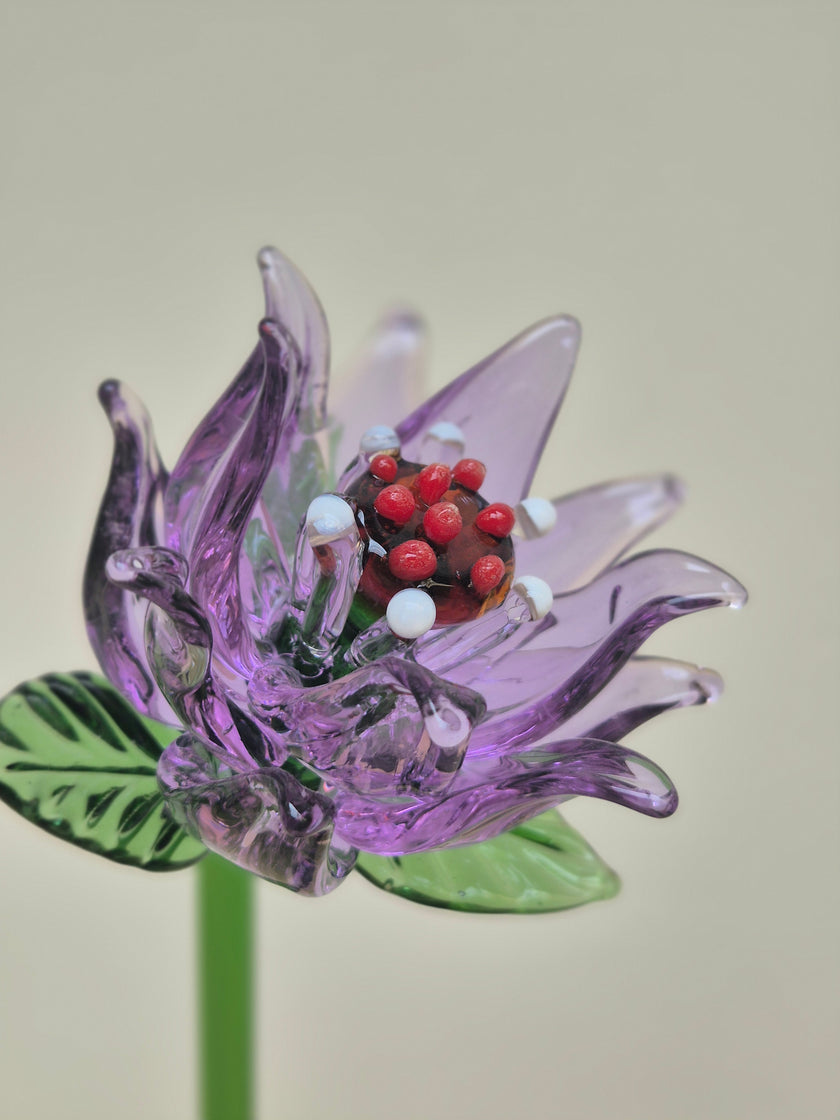 Viola Clematis- Hand-Blown Glass Flower