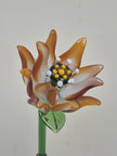 Ember Clematis- Hand-Blown Glass Flower