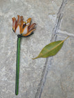 Ember Clematis- Hand-Blown Glass Flower