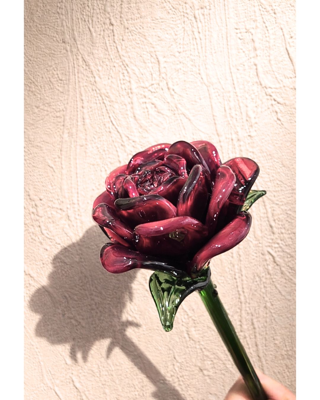 Crimson Crown Rose- Luxury Edition