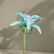 Sage Garden Whisper