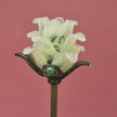 Primrose Lisianthus- Handblown Glass Flower