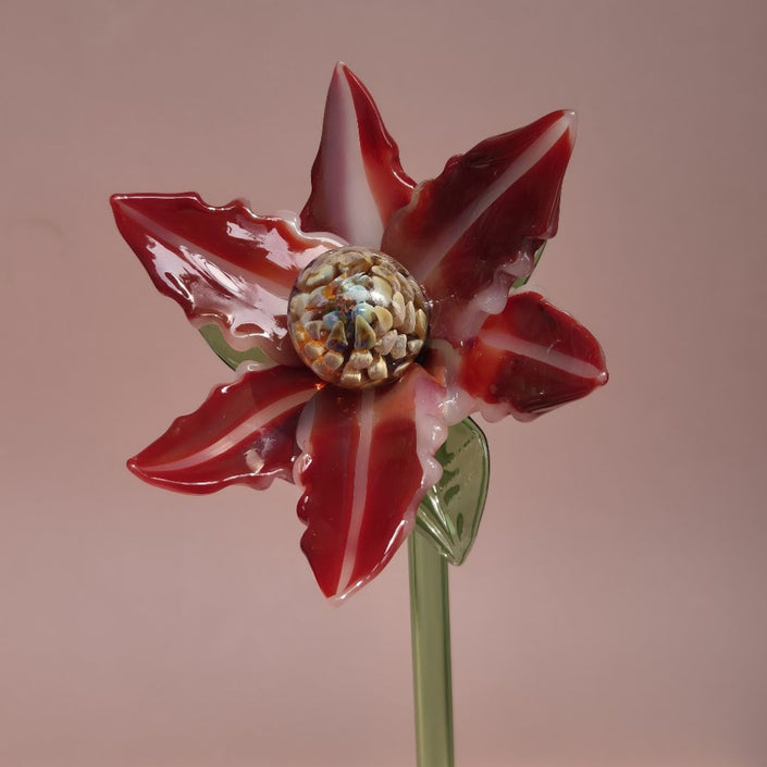 Crimson Magnolia