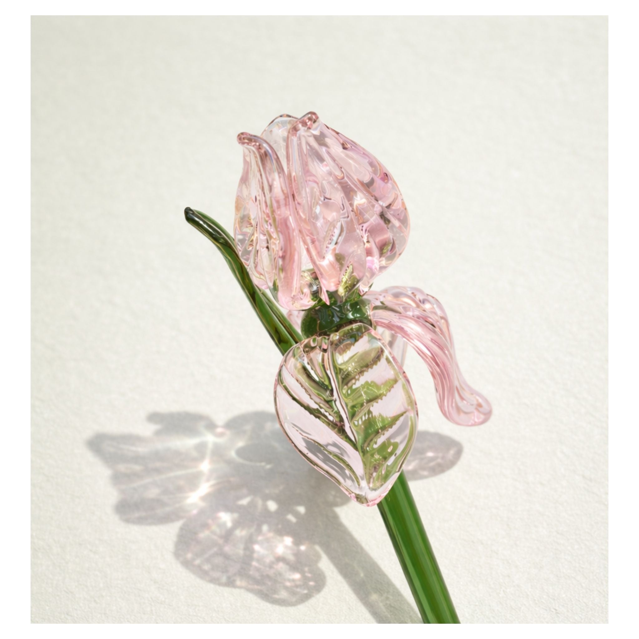 Sage Garden — Blush Reverie (Bouquet)