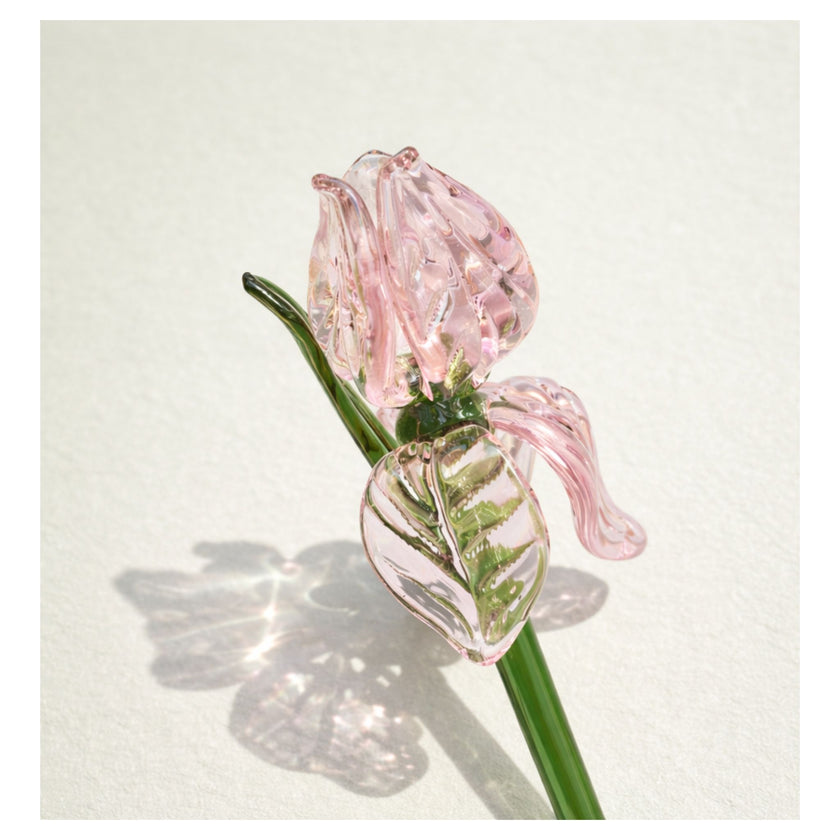 Sage Garden — Blush Reverie (Bouquet)