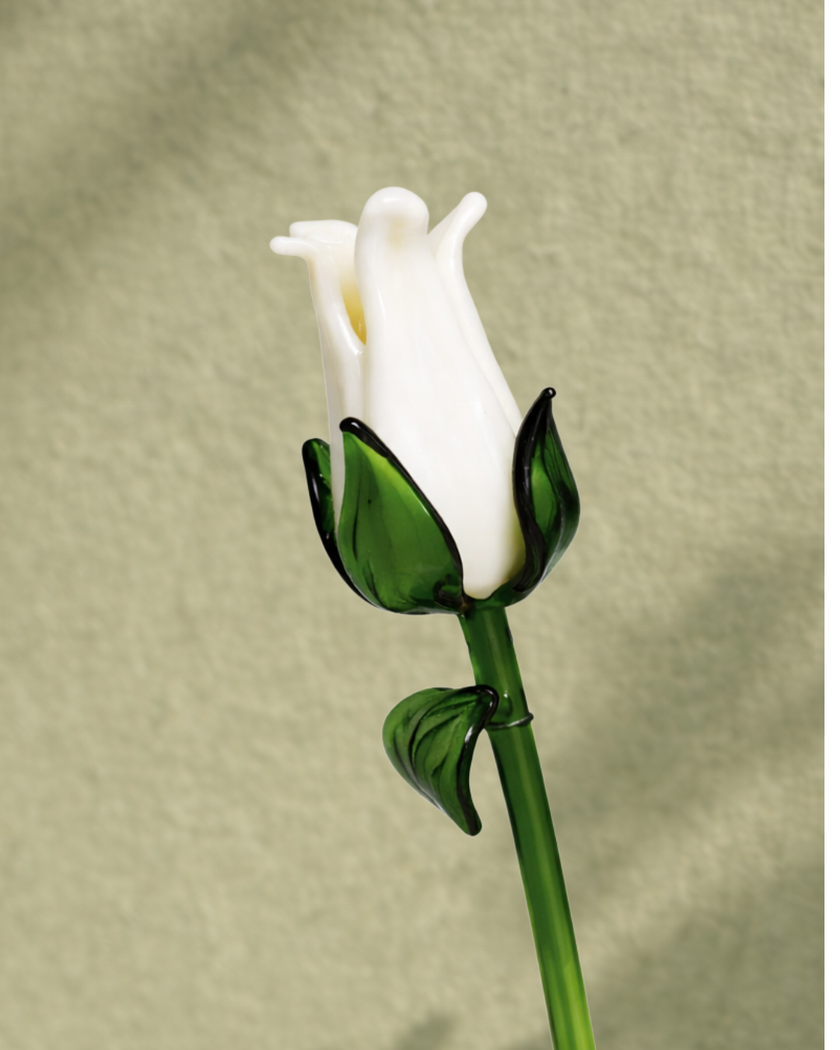 Sage Garden — Blush Reverie (Bouquet)