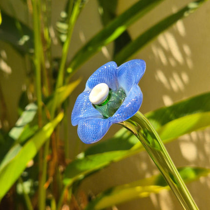 Daisy Glass Flower Stem -  Blue Reverie