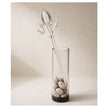 Fiore della Laguna — Spirit Bloom Collection