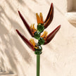 Heliconia Solis | Handblown Glass Botanical Stem | 14 Inch
