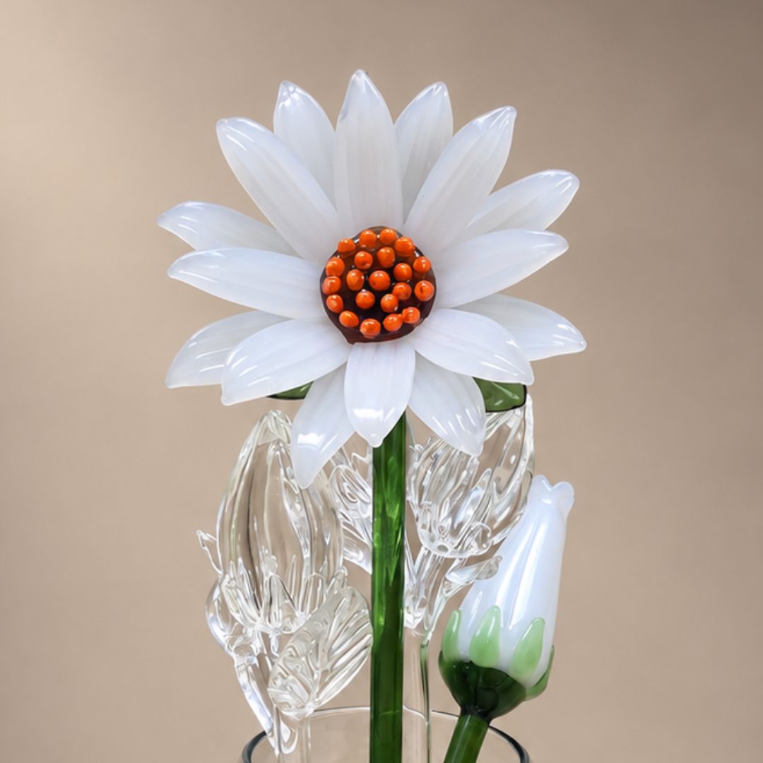 Alba Sunflower