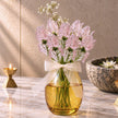 The Blush Sonata (Set of 8 Roses )