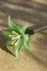 Emerald Bloom Lily – Hand-Blown Glass Flower Stem