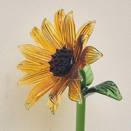 Yellow SunFlower
