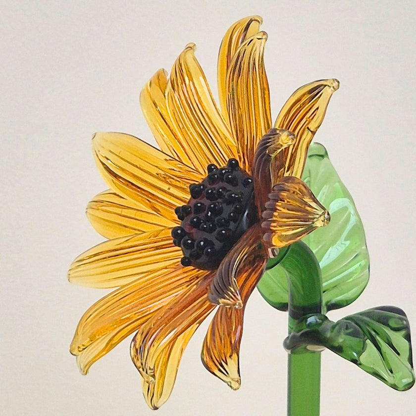 Yellow SunFlower