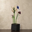 Limted Edition- Echo Of Basalt