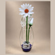 Alba Sunflower