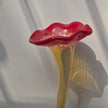 Crimson Reverie — A Botanical Glass Composition
