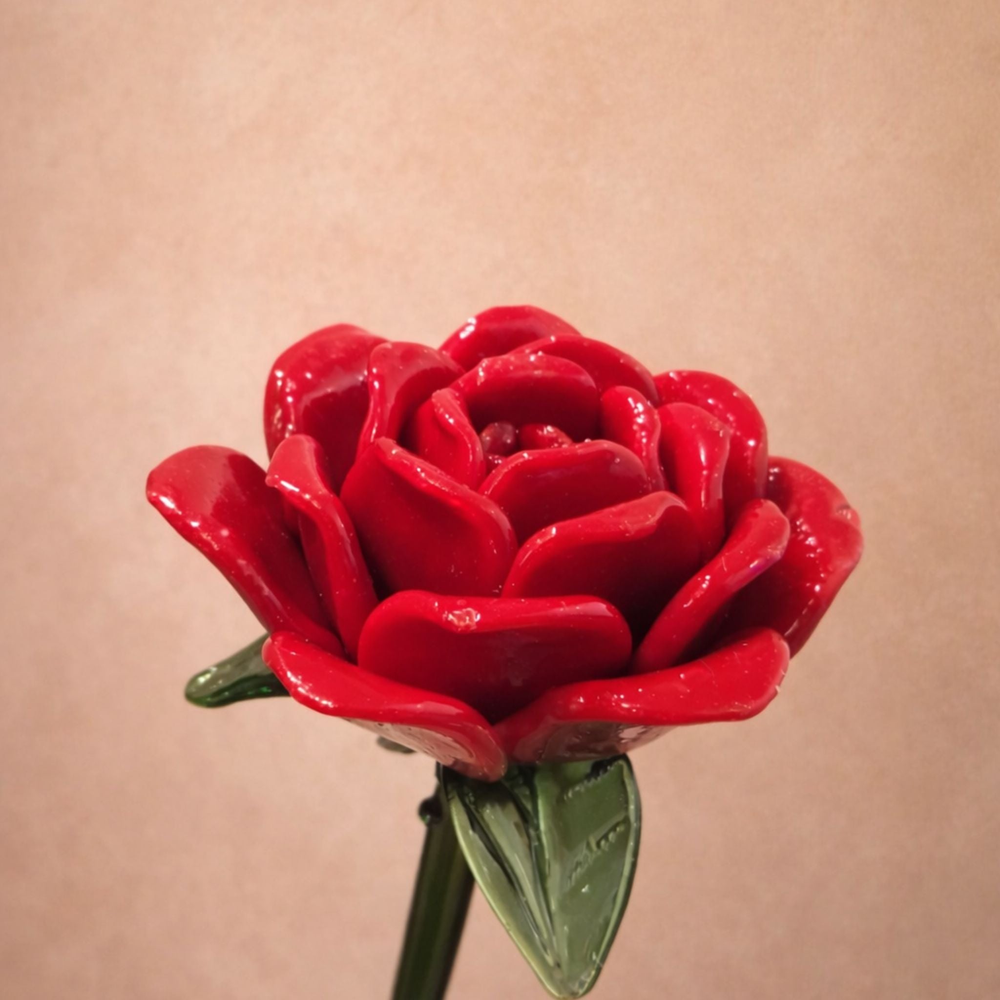 Rose Red | Eternal Bloom — Luxury Edition