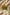Amber Dawn Lily – Hand-Blown Glass Flower Stem