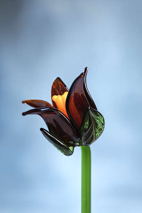 Tinsel Lily Glass Flower Stem - Amber