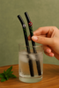Glass Straws Floral Art  Set of 2 - Onyx Black