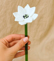 Hand holding a white ceramic flower with a green stem against a beige background