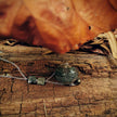 Lovers Embrace- Necklace (Smoke with Natural Cat’s Eye Crystal)