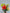 Tinsel Lily Glass Flower Stem - Red