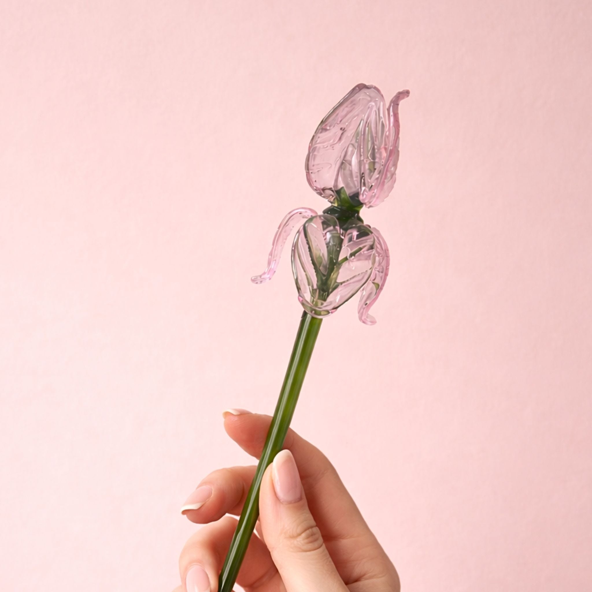 Blush Sonata (Single stem)