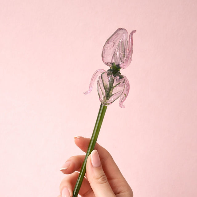 The Blush Sonata (Set of 8 Roses )