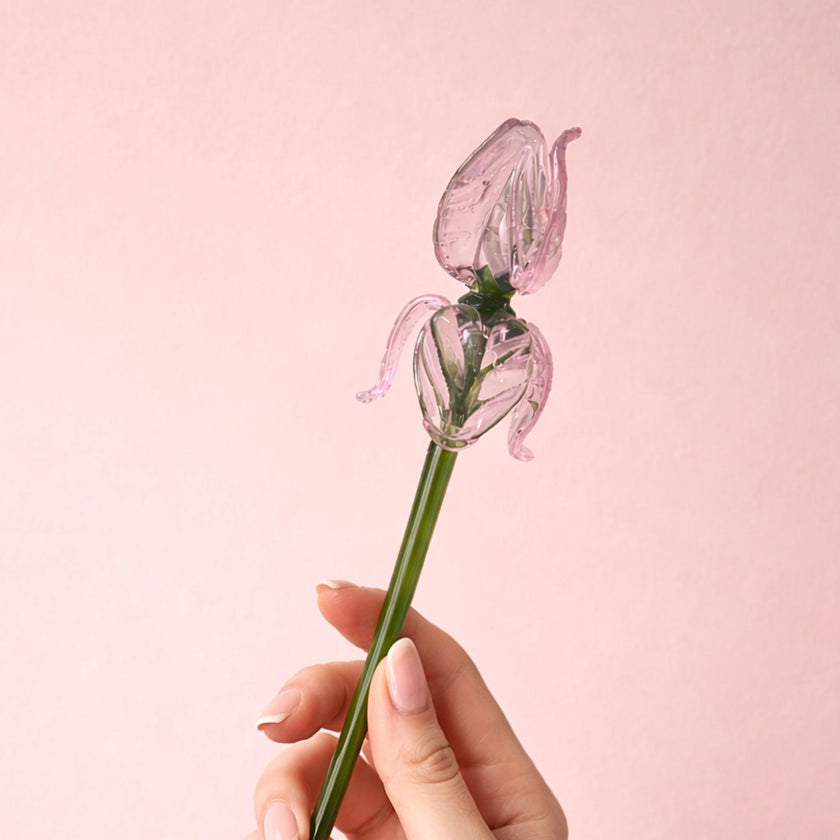 Blush Sonata (Single stem)