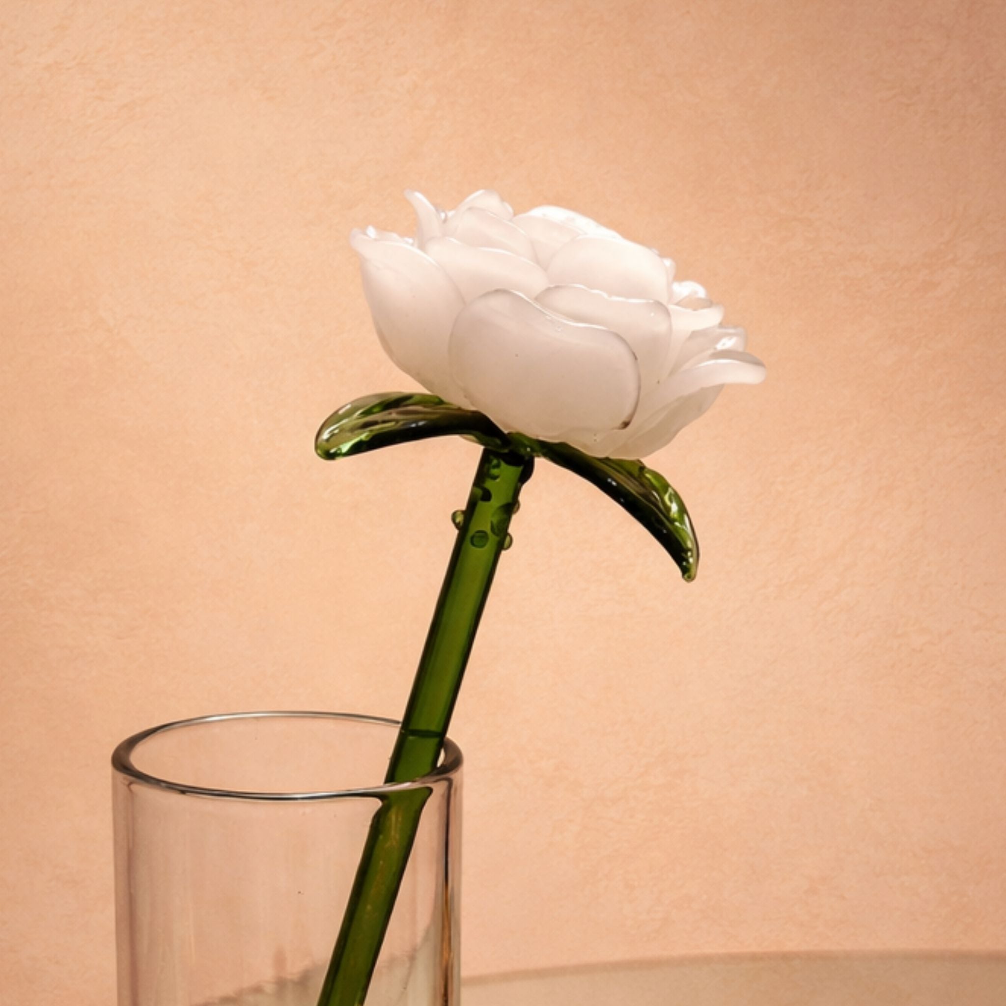 Riviera Rose — Luxury Edition