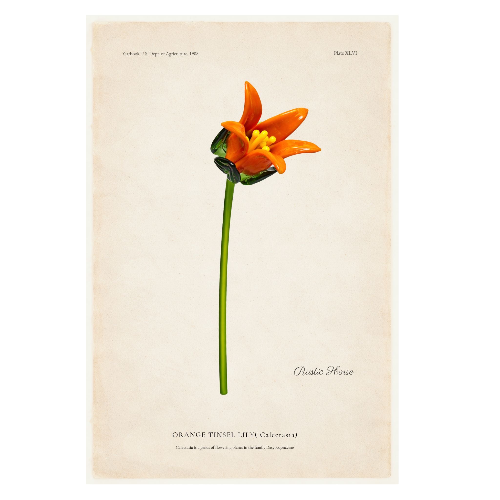 Tinsel Lily Glass Flower Stem - Orange