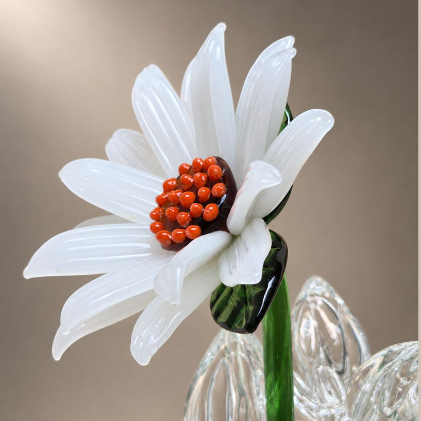 Alba Sunflower