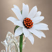 Alba Sunflower